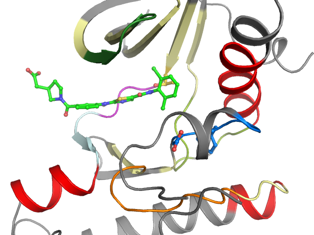 The orthosteric binding pocket