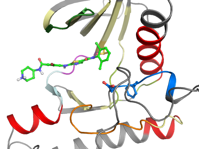 The orthosteric binding pocket