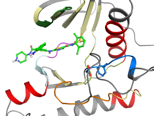 The orthosteric binding pocket