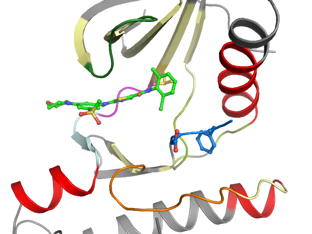 The orthosteric binding pocket