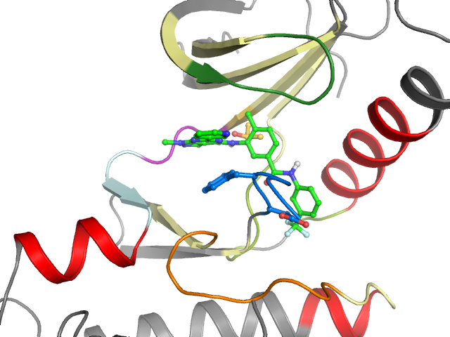 The orthosteric binding pocket