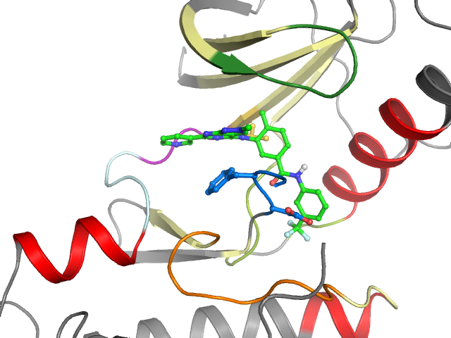 The orthosteric binding pocket