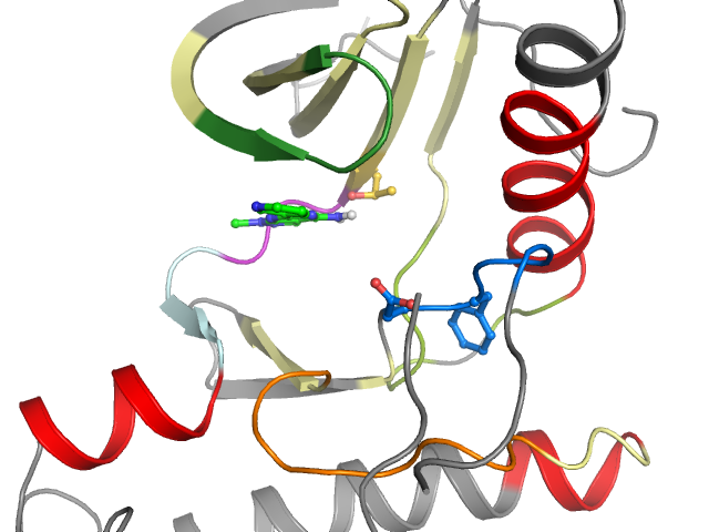 The orthosteric binding pocket