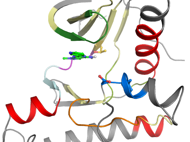 The orthosteric binding pocket