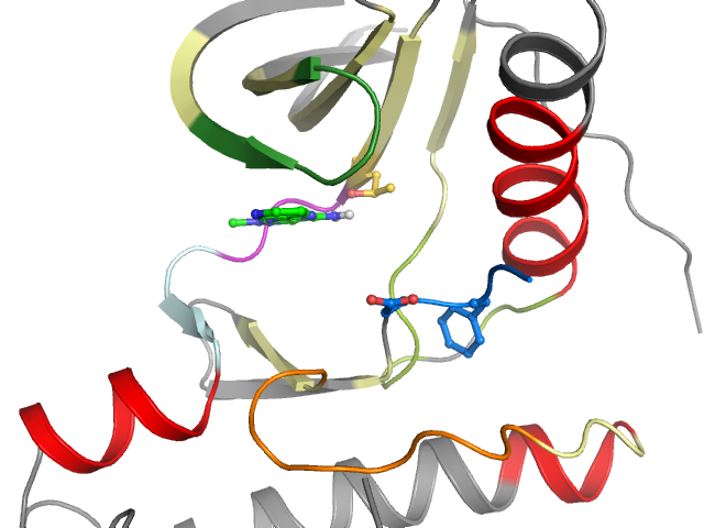 The orthosteric binding pocket