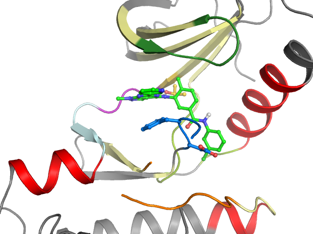 The orthosteric binding pocket