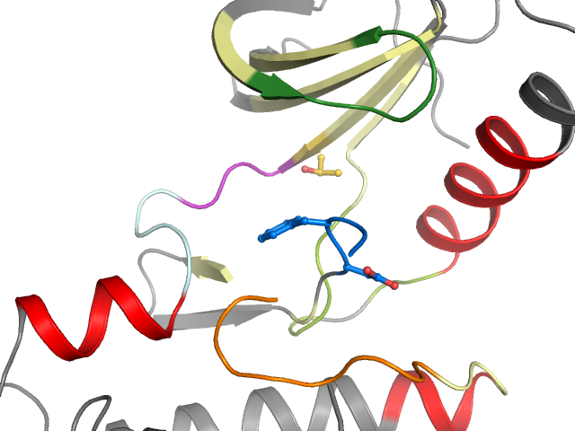 The orthosteric binding pocket
