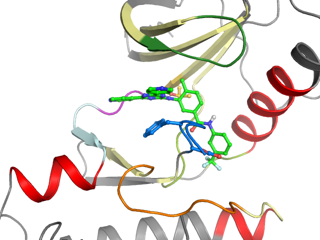 The orthosteric binding pocket