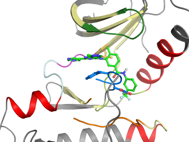 The orthosteric binding pocket