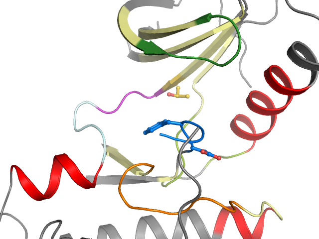 The orthosteric binding pocket