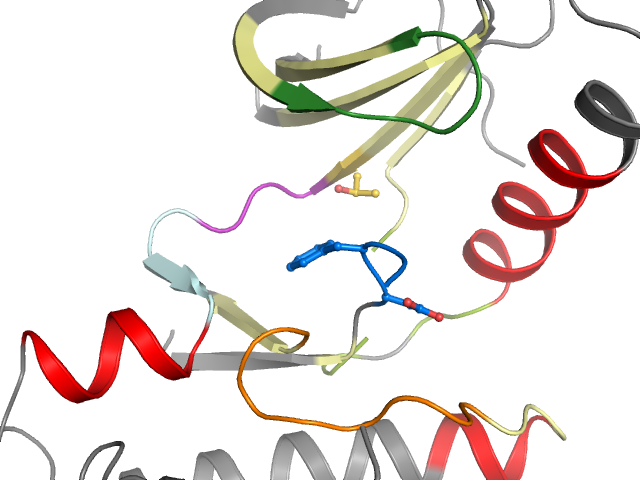 The orthosteric binding pocket