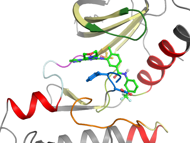 The orthosteric binding pocket