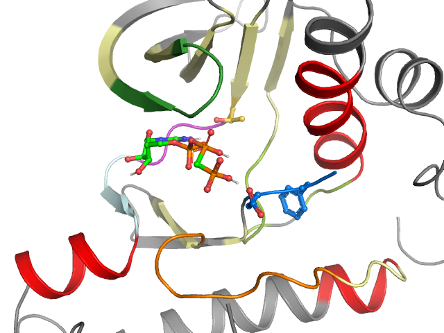 The orthosteric binding pocket