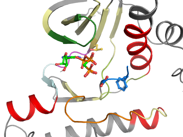 The orthosteric binding pocket