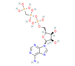2D structure of the orthosteric ligand