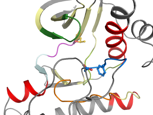 The orthosteric binding pocket