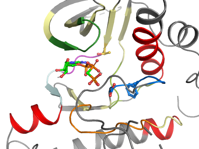 The orthosteric binding pocket