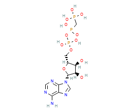 2D structure of the orthosteric ligand