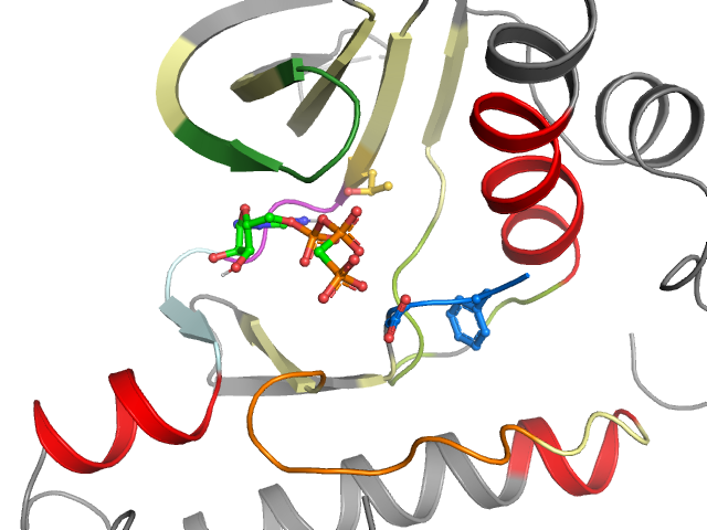 The orthosteric binding pocket