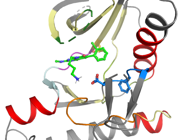 The orthosteric binding pocket