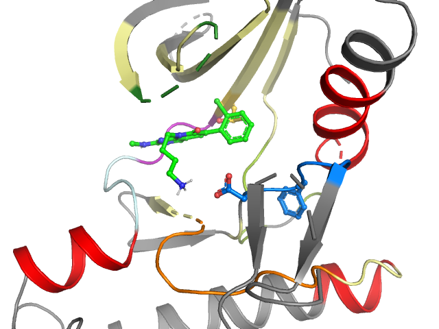 The orthosteric binding pocket