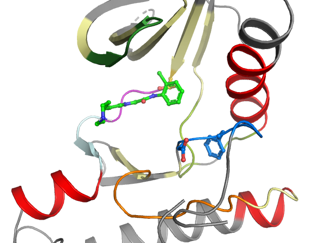 The orthosteric binding pocket