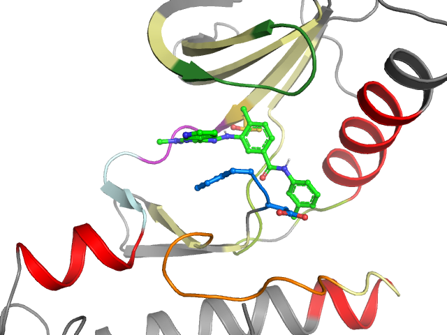 The orthosteric binding pocket