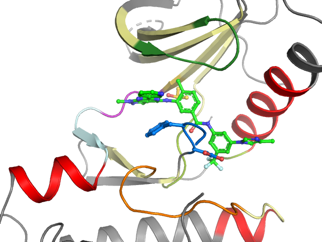 The orthosteric binding pocket