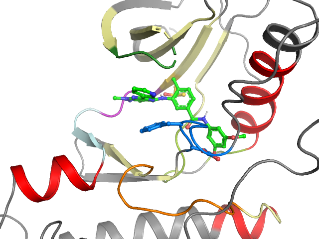 The orthosteric binding pocket