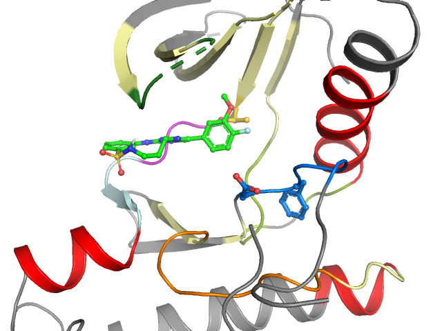 The orthosteric binding pocket