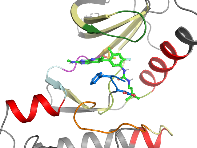 The orthosteric binding pocket
