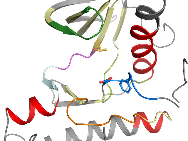 The orthosteric binding pocket