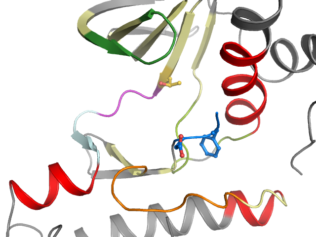 The orthosteric binding pocket