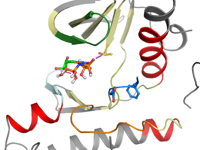 The orthosteric binding pocket