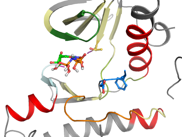 The orthosteric binding pocket