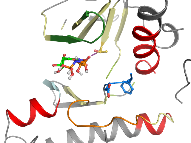 The orthosteric binding pocket