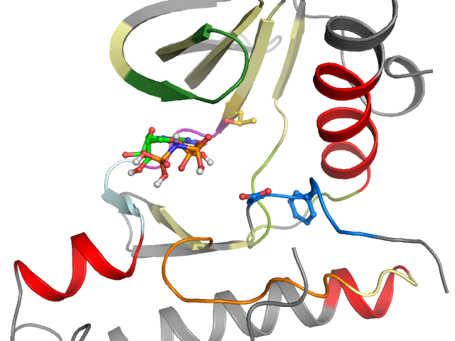 The orthosteric binding pocket
