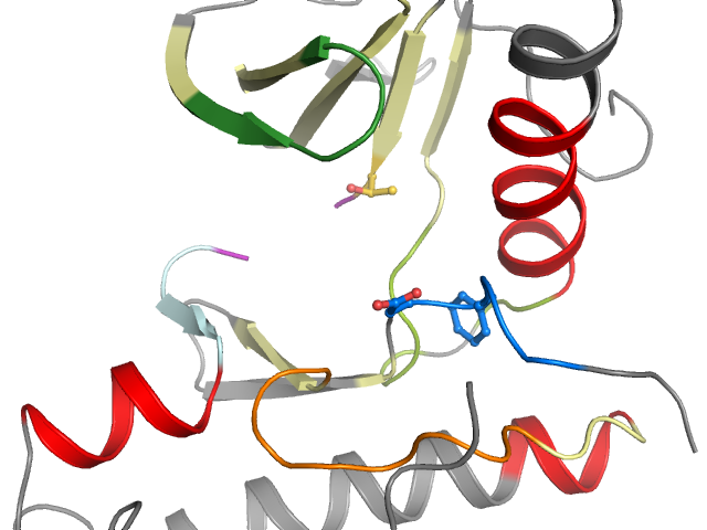 The orthosteric binding pocket