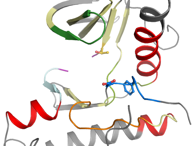 The orthosteric binding pocket