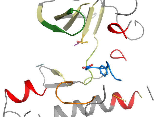 The orthosteric binding pocket