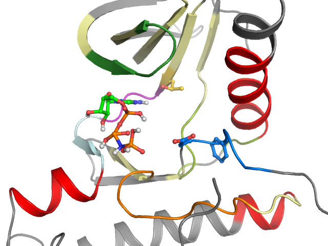 The orthosteric binding pocket