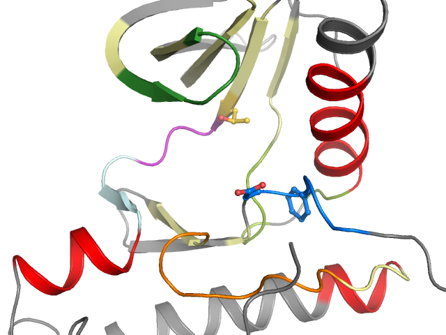 The orthosteric binding pocket