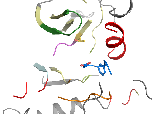 The orthosteric binding pocket