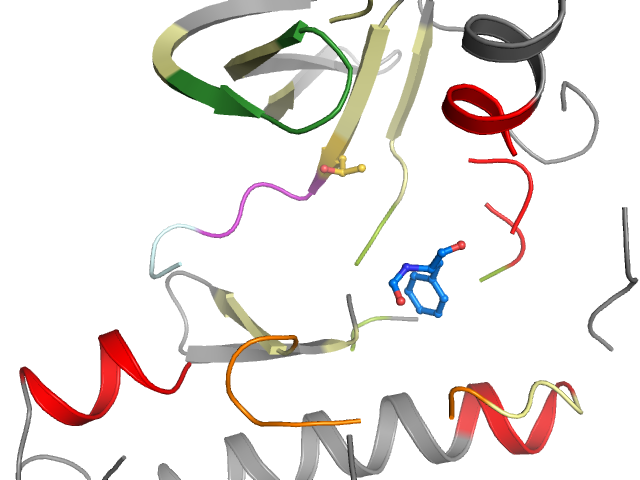 The orthosteric binding pocket