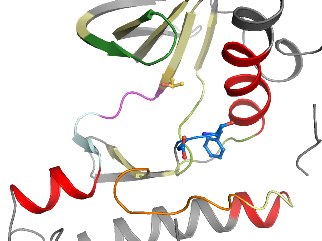The orthosteric binding pocket