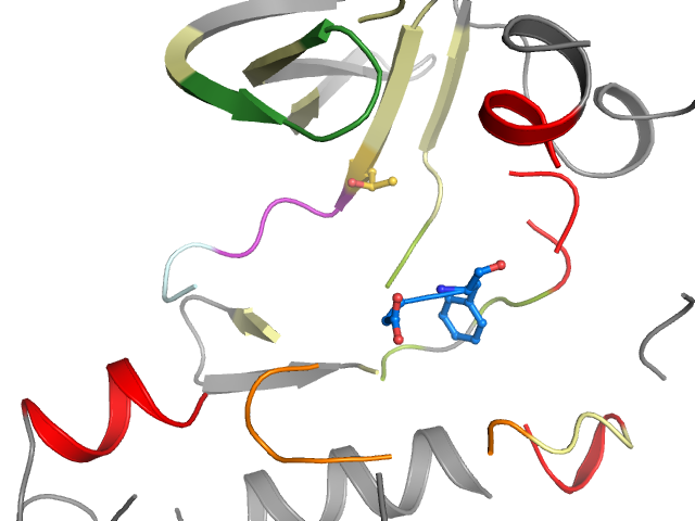 The orthosteric binding pocket
