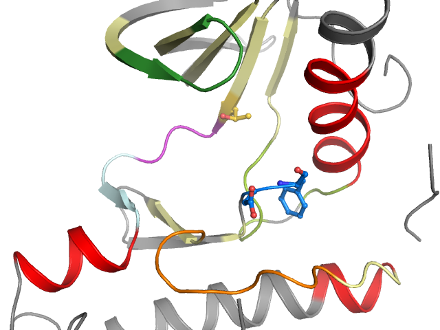 The orthosteric binding pocket
