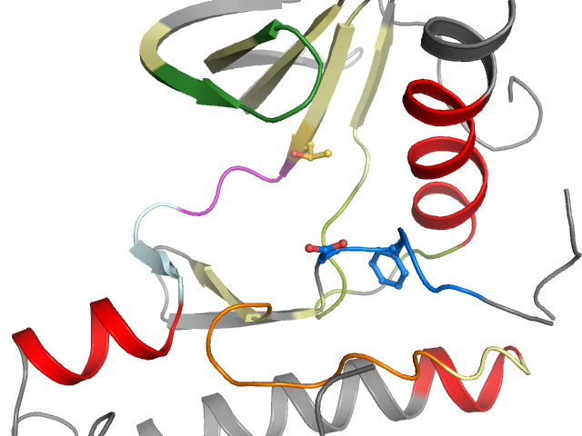 The orthosteric binding pocket