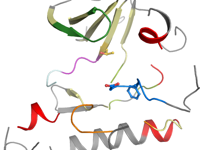 The orthosteric binding pocket