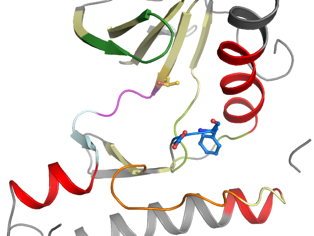 The orthosteric binding pocket